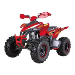 Квадроцикл бензиновый YACOTA TYPHOON 250