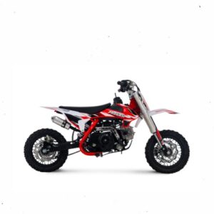 Питбайк Progasi KIDS POWER 110 (10/10)